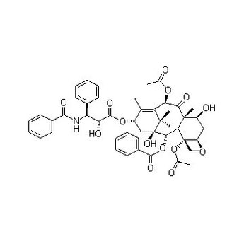 Paclitaxel other active pharmaceutical ingredients