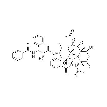 Paclitaxel other active pharmaceutical ingredients