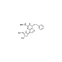 9H-Purin-2-amine,N-[(4-methoxyphenyl)diphenylmethyl]-9-[(1S,3R,4S)-2-methylene-4-(phenylmethoxy)-3-[