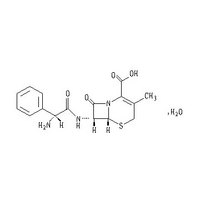 Cefadroxil cephalosporins