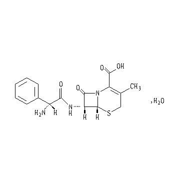 Cefadroxil cephalosporins