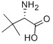 L-tert-Leucine other excipients and drug formulation