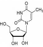 5-methyl uridine