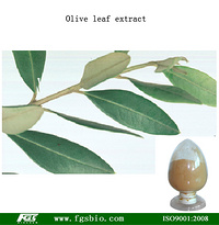 Olive Leaf  Extract