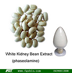 White Kidney Bean Extract