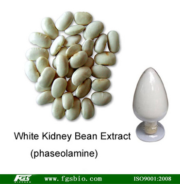 White Kidney Bean Extract