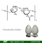 Chondroitin sulphate