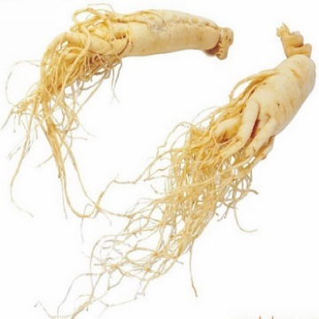 Water soluble North American Ginseng Roots P.E.