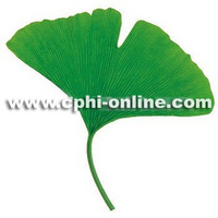 Water soluble Ginkgo biloba extract