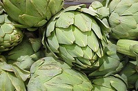 Artichoke Extract