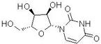 Uridine