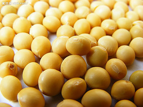 Soybean Isoflavones