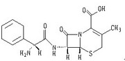 Cephradine