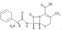 Cephradine