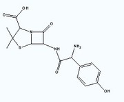 Amoxicilline penicillin