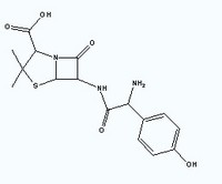 Amoxicilline penicillin