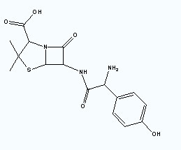 Amoxicilline penicillin  