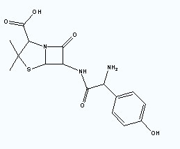 Amoxicilline penicillin