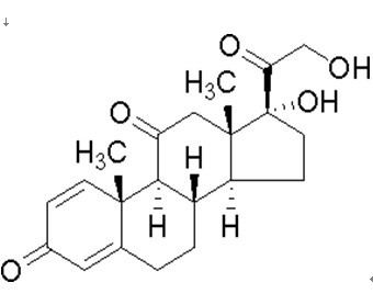 Prednisone