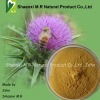 Milk thistle extract silymarin 80% by UV