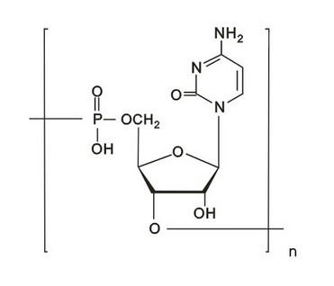 Polycytidylic Acid