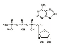 Adenosine Disodium Adenosine