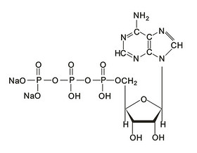 Adenosine Disodium Adenosine