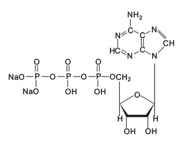 Adenosine Disodium Adenosine