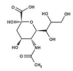 N-Acetylneuraminic acid