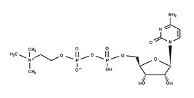 Citicoline