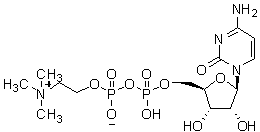 CDP-Choline