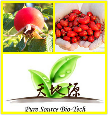 Rose Hip Extract