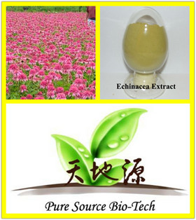 Echinacea Purpurea Extract