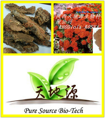 Rhodiola Rosea Extract