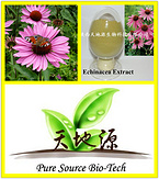 Echinacea purpurea extract