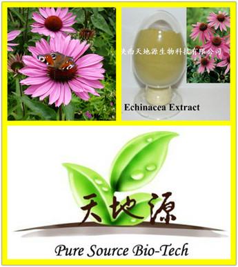 Echinacea purpurea extract