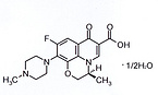 Levofloxacin 