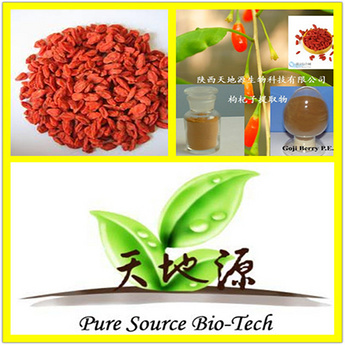 Barbary Wolfberry fruit Extract