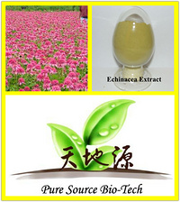 Echinacea  Extract