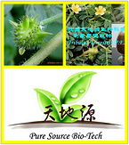 Tribulus Terrestris Extract