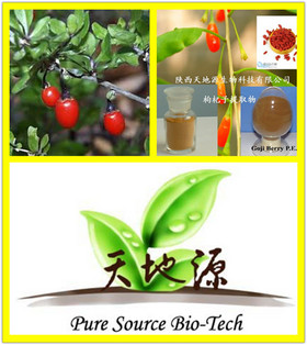 Wolfberry Extract