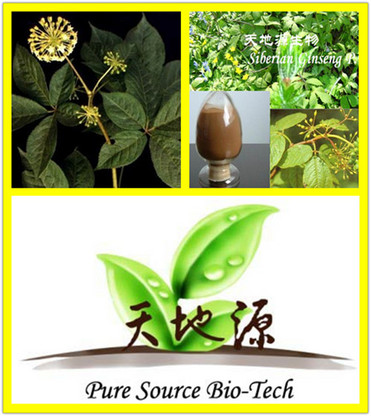 Siberian Ginseng Extract