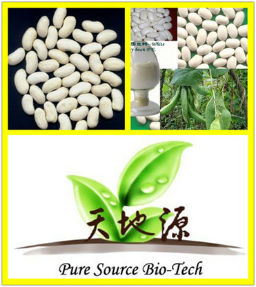 White Kidney Bean Extract