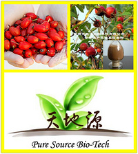 Rose hip Extract