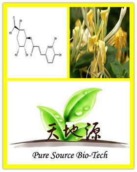 Honeysuckle extract （water soluble ）