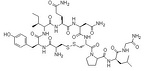 Oxytocin