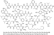 Liraglutide