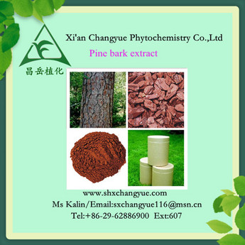 Pine bark extract