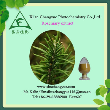 rosemary extract