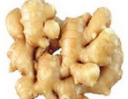 Manufacture Natural ginger extract powder 